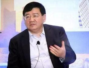 爆料徐小平视频播放全集,创业教父的智慧与人生感悟